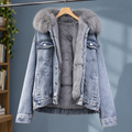 Erin | Denim Jacket